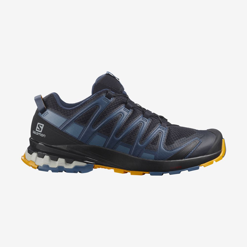 Zapatillas Trail Running Salomon Hombre Oscuro - Salomon Argentina XA PRO 3D V8 ,489053-IRP